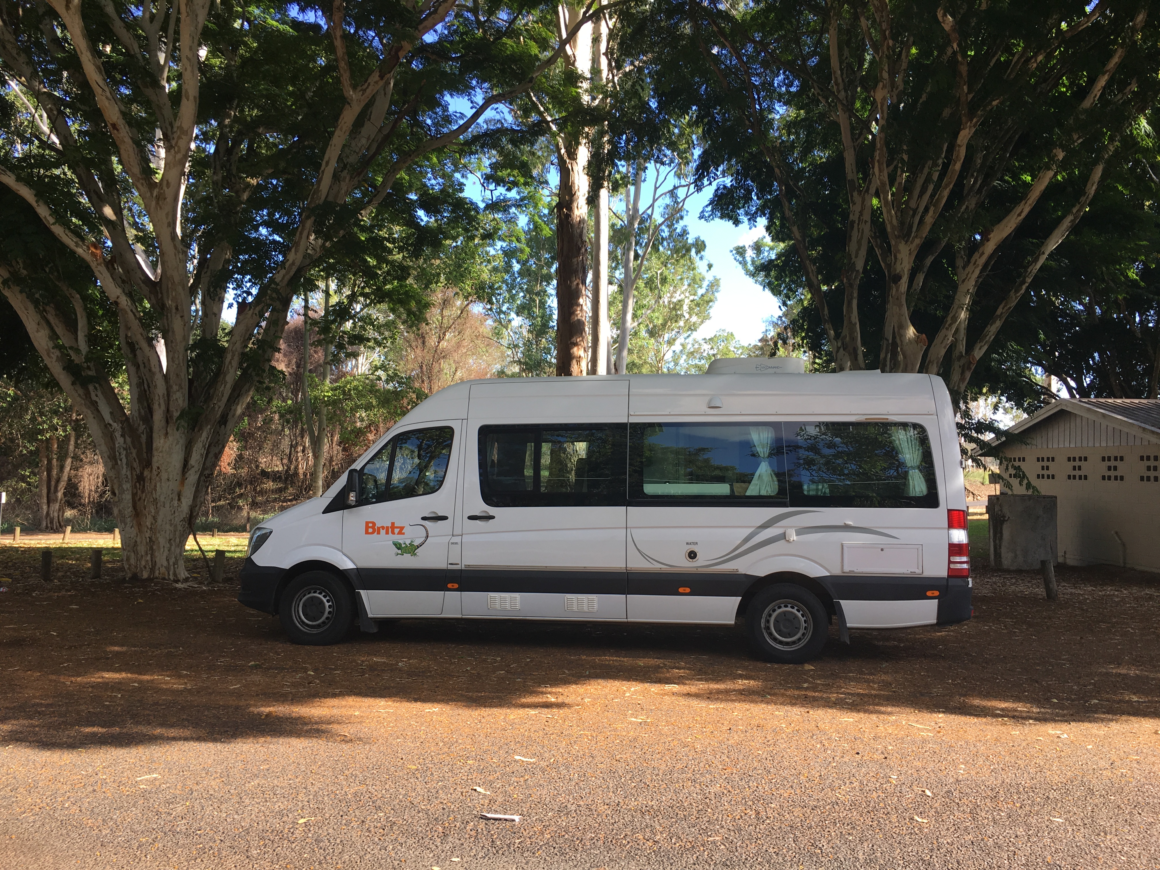 5 parkplatz mit leguan besuch